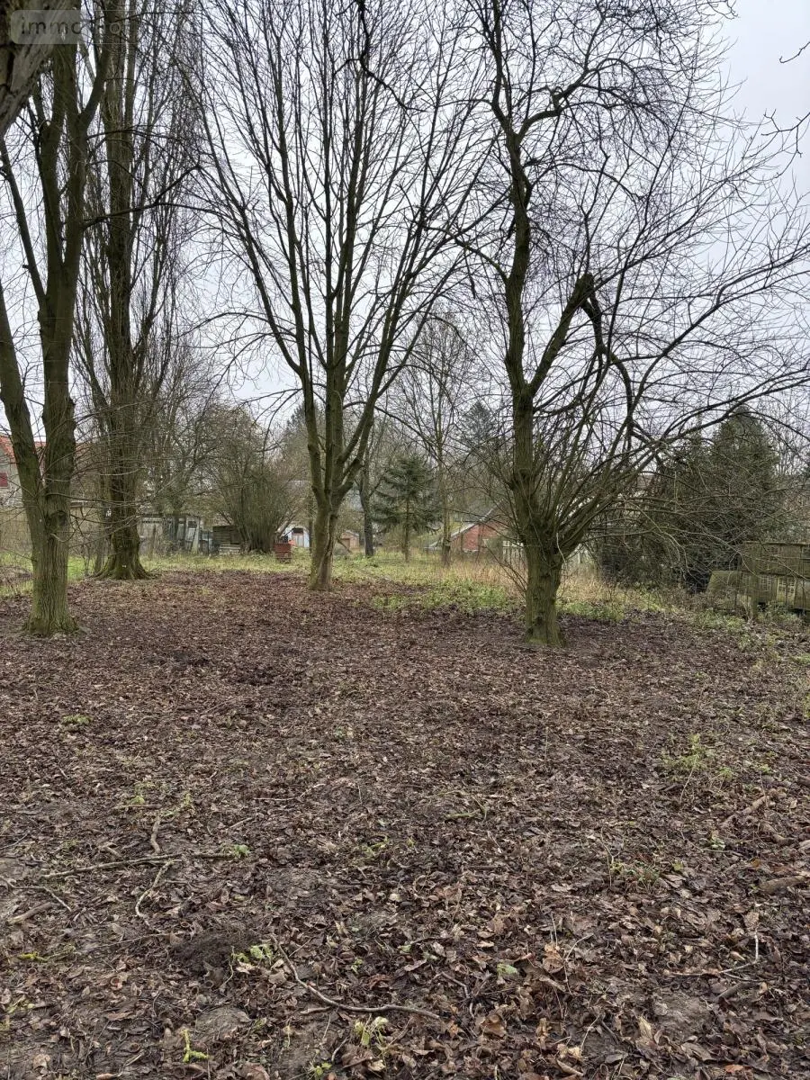 Terrain a batir a vendre Mailly-Maillet 80560 Somme 80 32000 euros 80121-2626 002