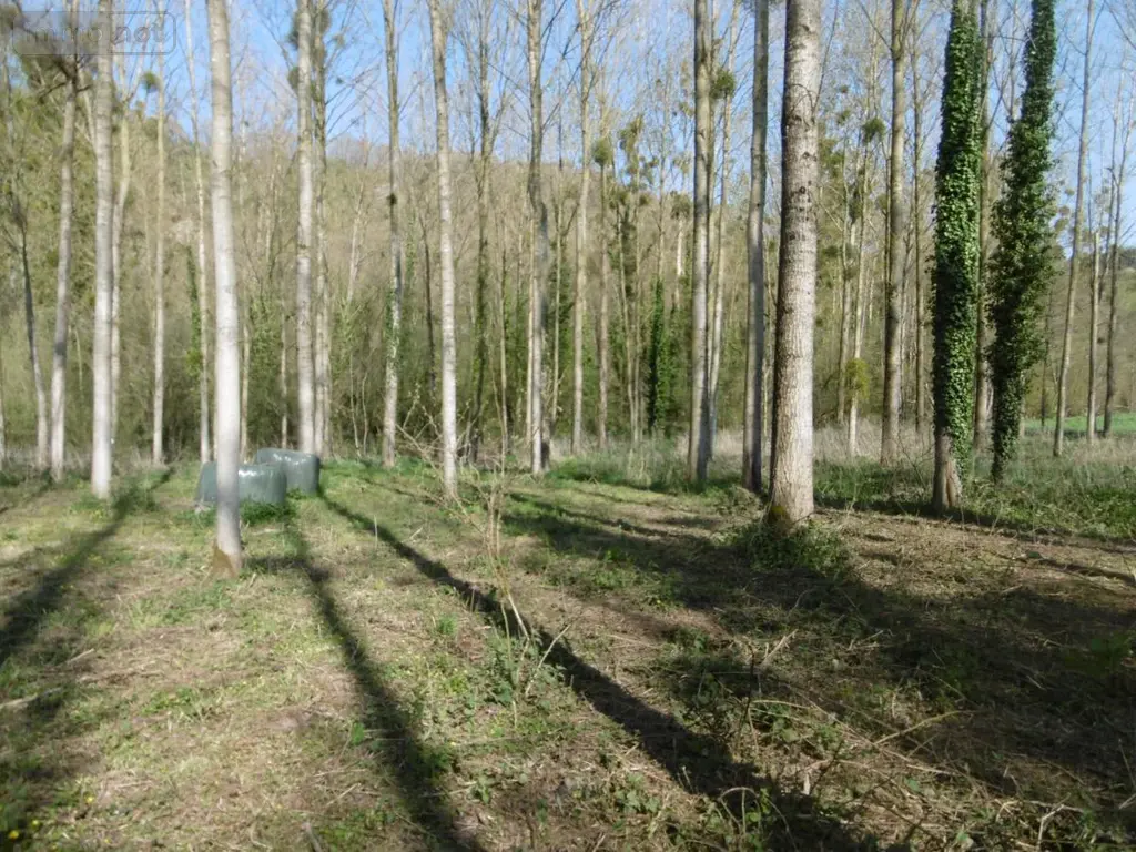Terrains de loisirs bois etangs a vendre Pont-Farcy 50420 Manche 50 11000 euros 14076-5642 003