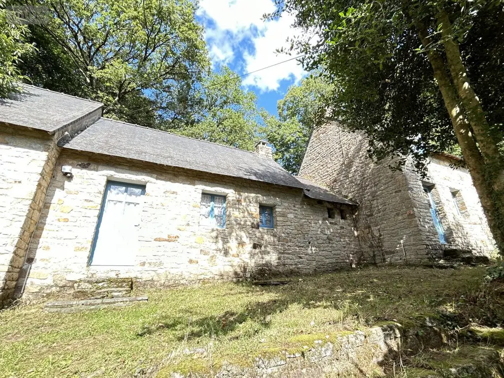Maison a vendre Lizio 56460 Morbihan 56 260 m2 201900 euros 56046-1245 037