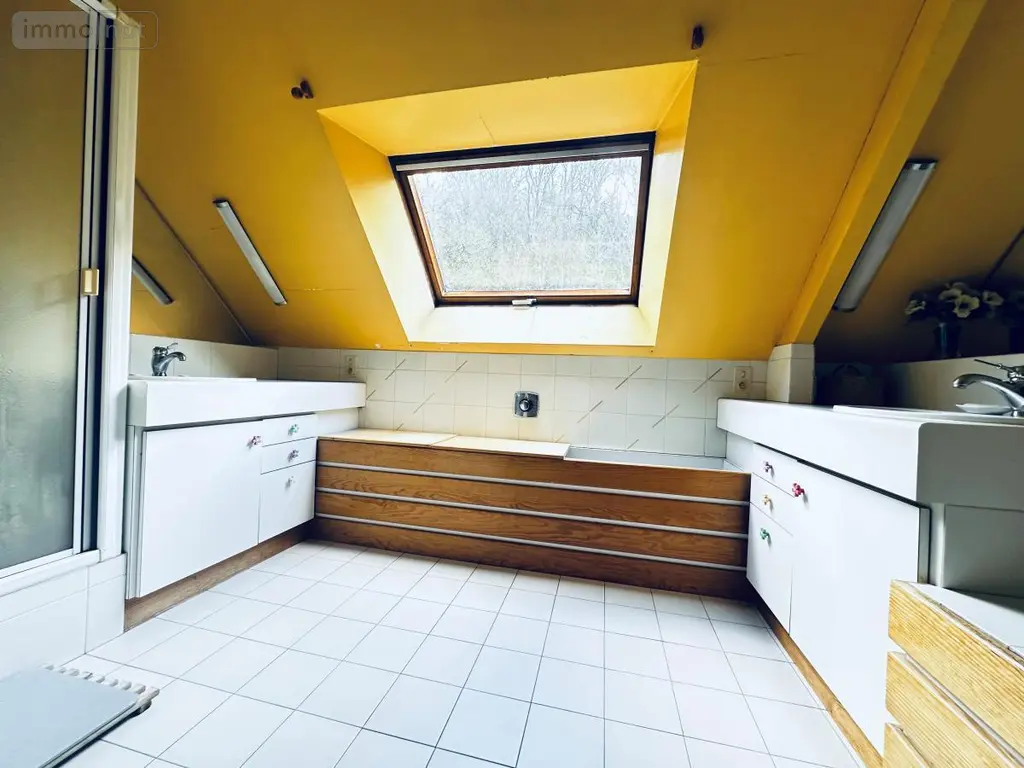 Maison a vendre Arzano 29300 Finistère 29 409 m2 831421 euros 56081-2485 011