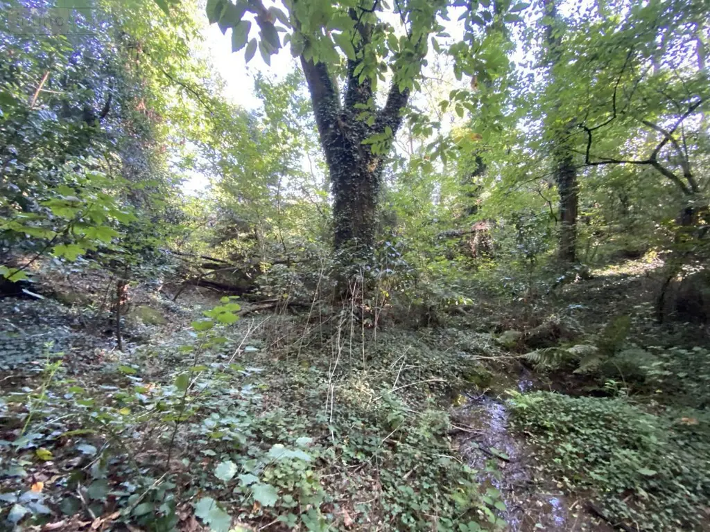 Maison a vendre Saint-Jean-Brévelay 56660 Morbihan 56 47 m2 2 pièces 59000 euros 56056-196 011
