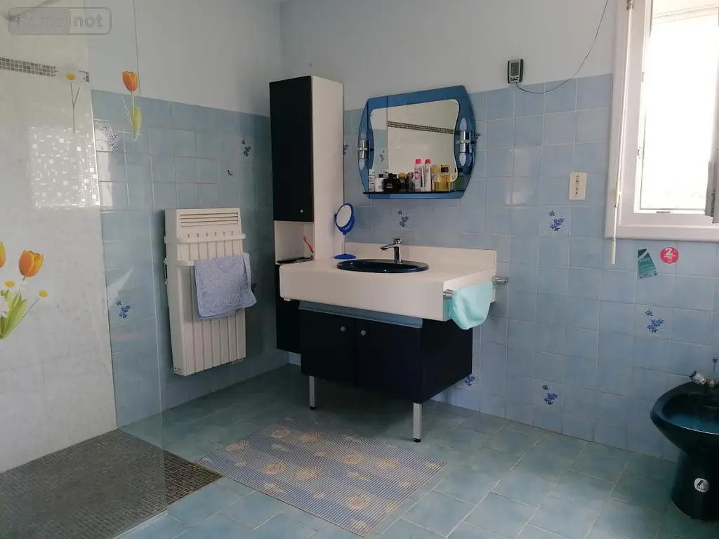 Maison a vendre Descartes 37160 Indre-et-Loire 37 112 m2 4 pièces 154350 euros 37082-300 006