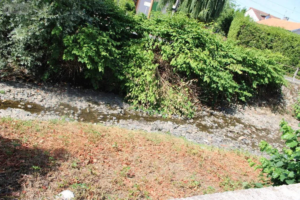 Viager maison Cusset 03300 Allier 03 135 m2 6 pièces 100440 euros 63022-12 021