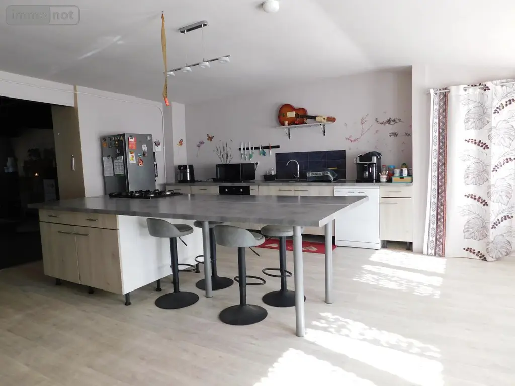 Maison a vendre Druillat 01160 Ain 01 238 m2 5 pièces 270000 euros 01016-526 005