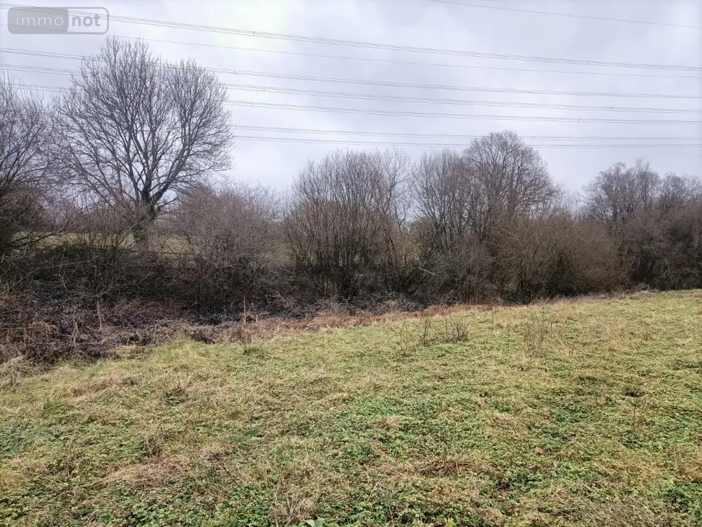 Terrains de loisirs bois etangs a vendre Rouffigny 50800 Manche 50 25375 euros 50038-2617 003