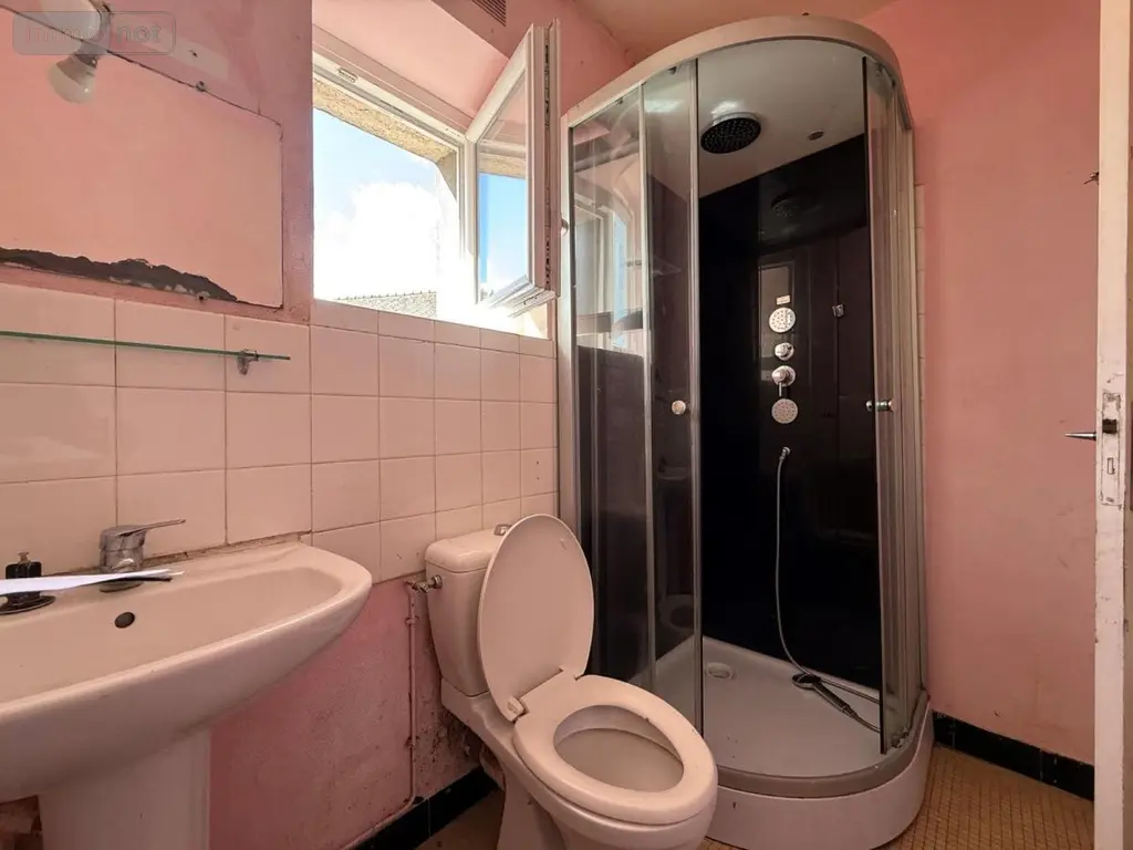 Maison a vendre La Boussac 35120 Ille-et-Vilaine 35 101 m2 5 pièces 105400 euros 35130-3797 013