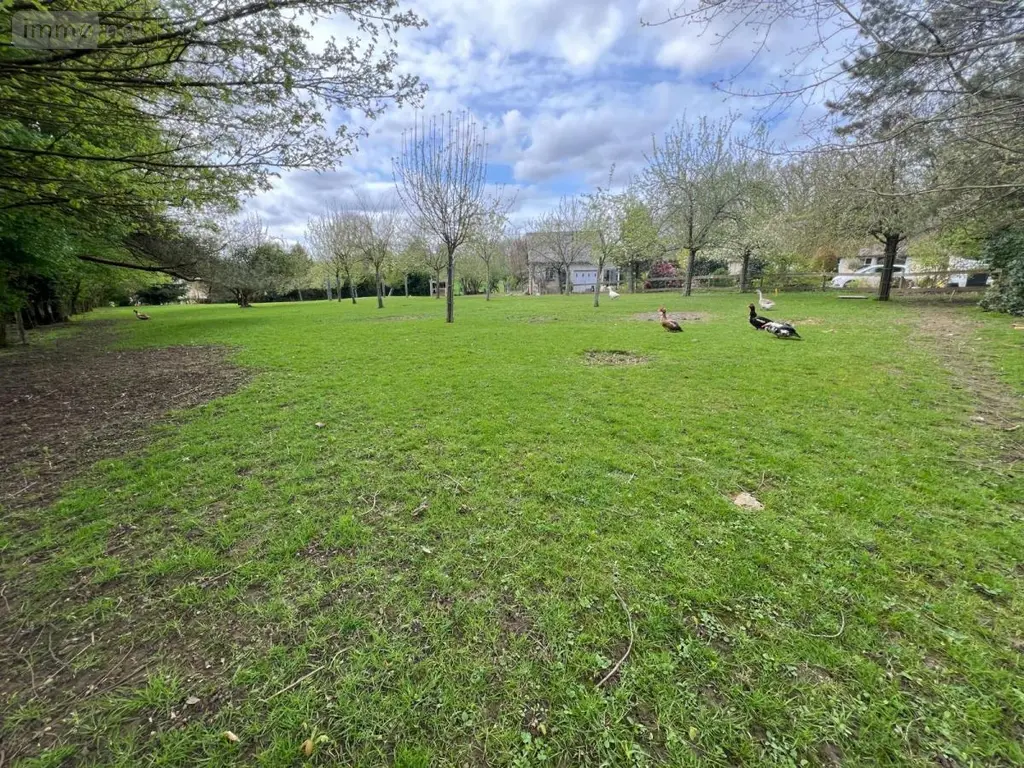 Terrain a batir a vendre Le Bocasse 76690 Seine-Maritime 76 89900 euros 76004-528 003