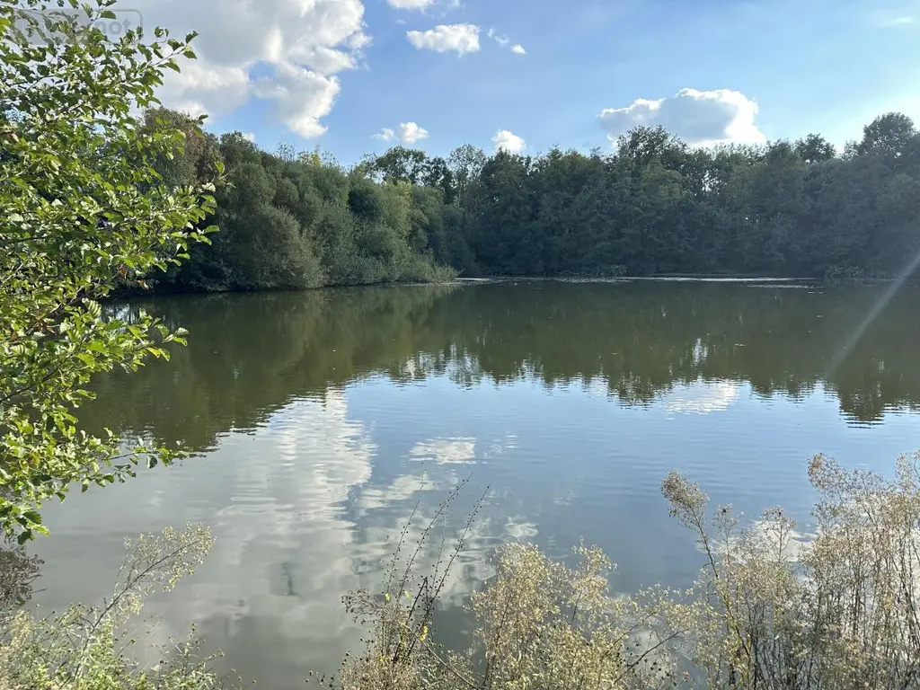 Terrains de loisirs bois etangs a vendre Saint-Georges-de-Montaigu 85600 Vendée 85 83900 euros 85020-1498 001