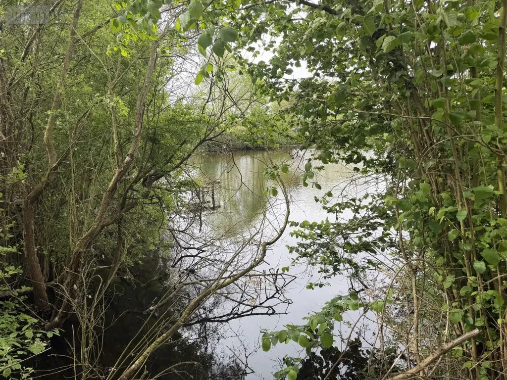Terrains de loisirs bois etangs a vendre Saint-Martin-du-Bois 49500 Maine-et-Loire 49 48600 euros 49098-1425 004