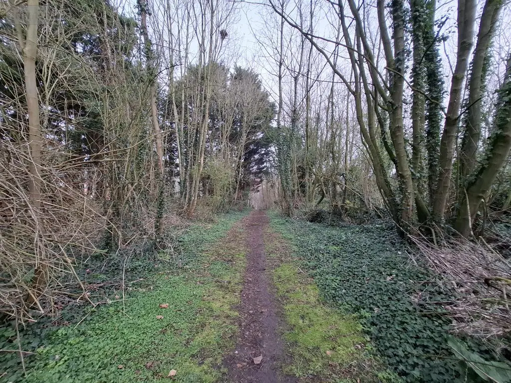 Terrains de loisirs bois etangs a vendre Ames 62190 Pas-de-Calais 62 28000 euros 62050-1772 001