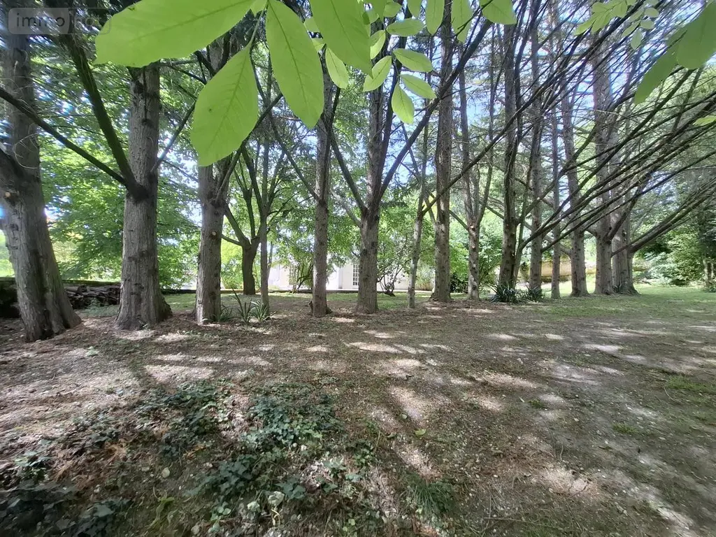 Maison a vendre Saintes 17100 Charente-Maritime 17 405 m2 11 pièces 475000 euros 17111-738 036