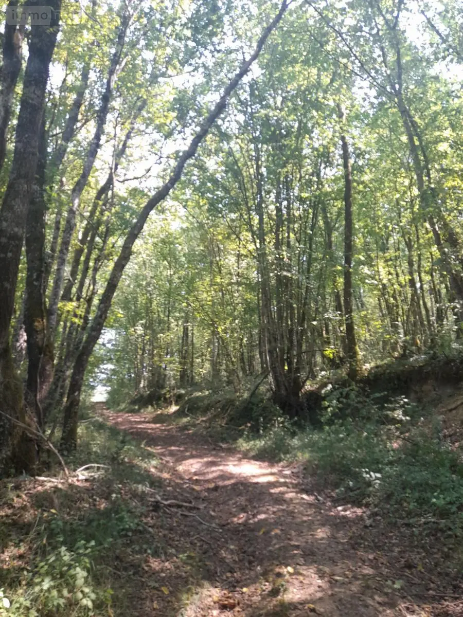 Terrains de loisirs bois etangs a vendre Marsan 32270 Gers 32 15000 euros 32002-1429 002