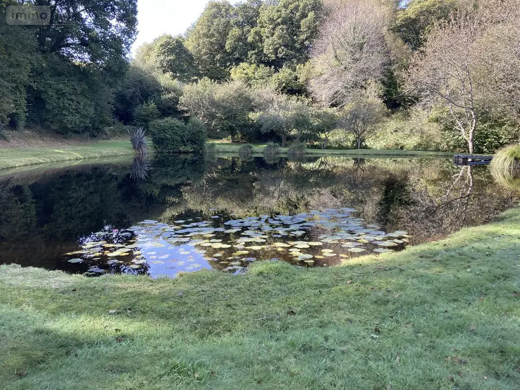 Terrains de loisirs bois etangs a vendre Melrand 56310 Morbihan 56 32400 euros 56064-1447 007