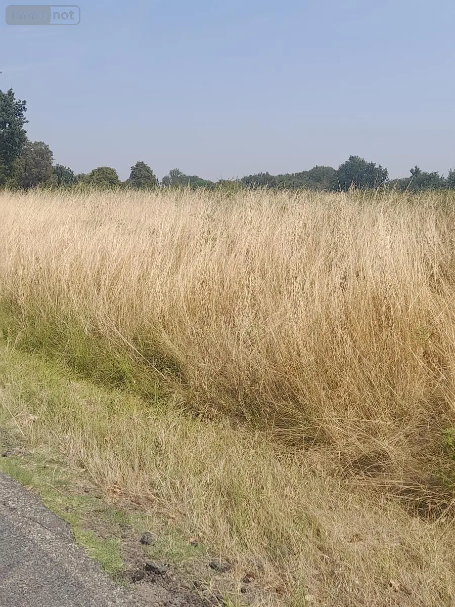 Terrains de loisirs bois etangs a vendre Marsan 32270 Gers 32 15000 euros 32002-1429 006