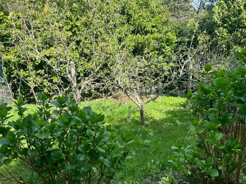 Maison a vendre Huelgoat 29690 Finistère 29 55 m2 3 pièces 93280 euros 29064-2742 010