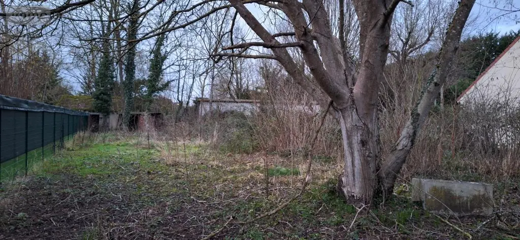 Terrain a batir a vendre Villemandeur 45700 Loiret 45 52000 euros 45049-104 003
