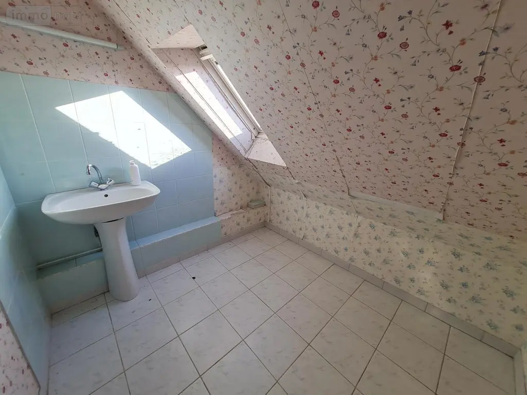 Maison a vendre Artins 41800 Loir-et-Cher 41 137 m2 8 pièces 93300 euros 41059-984 017