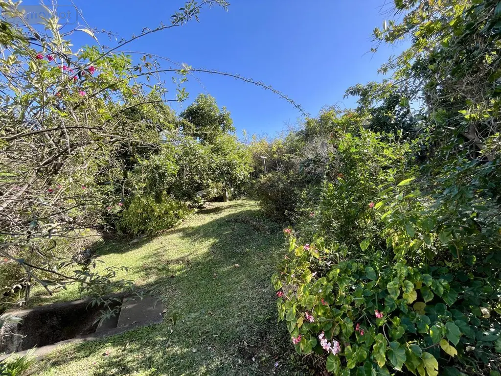 Maison a vendre Le Tampon 97430 La Réunion 974 118 m2 5 pièces 381800 euros 97409-257 015