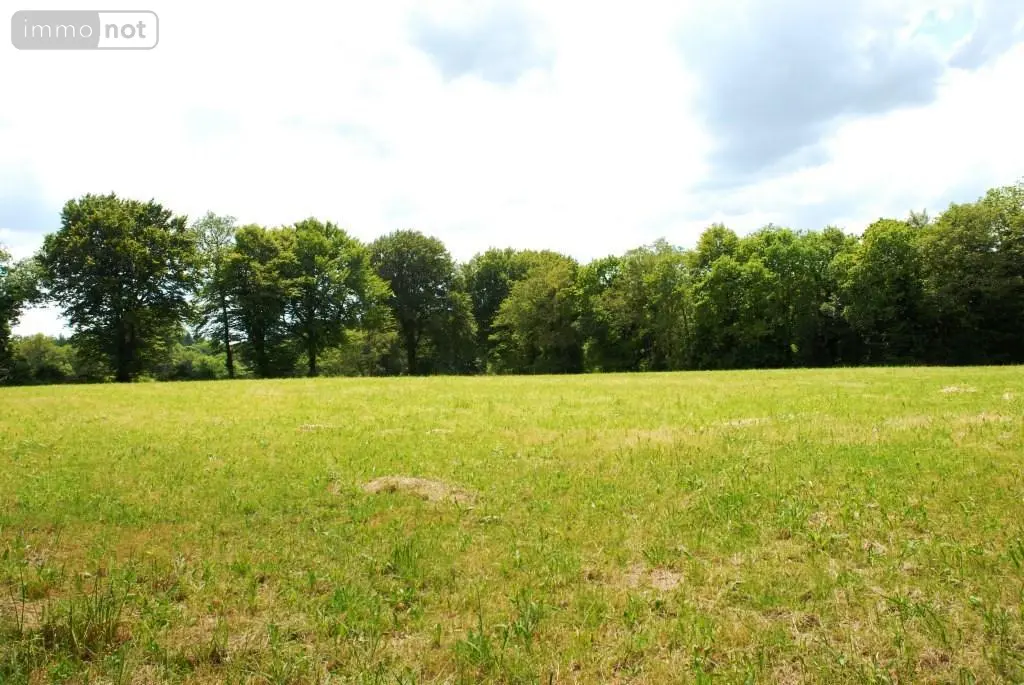 Maison a vendre Plouray 56770 Morbihan 56 700 m2 19 pièces 800680 euros 56075-2235 047