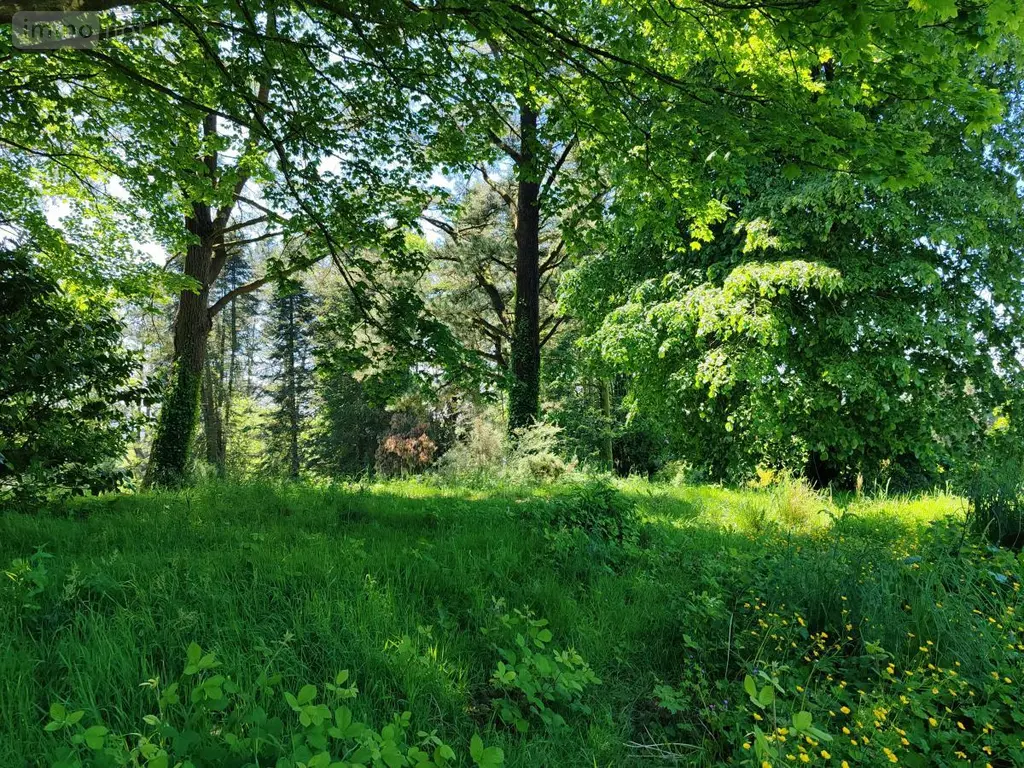 Immeuble de rapport a vendre Plounéour-Ménez 29410 Finistère 29 800 m2 263500 euros 29107-2761 005