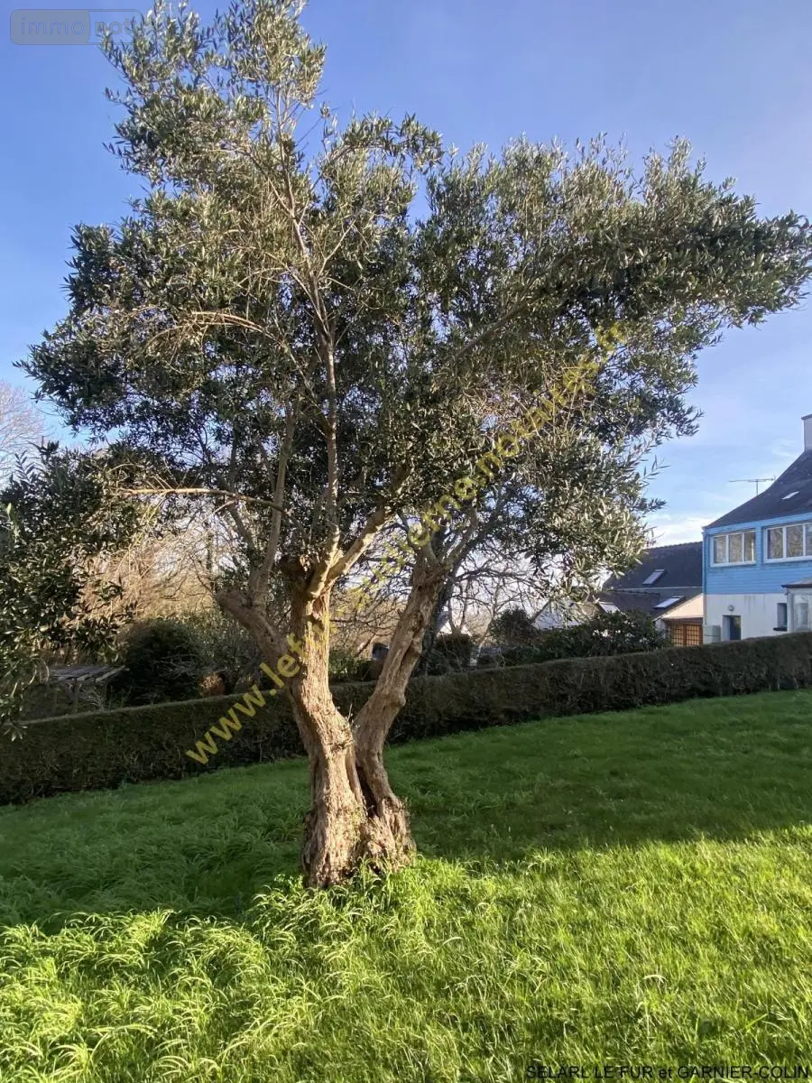 Maison a vendre Audierne 29770 Finistère 29 120 m2 6 pièces 343050 euros 29021-2094 017