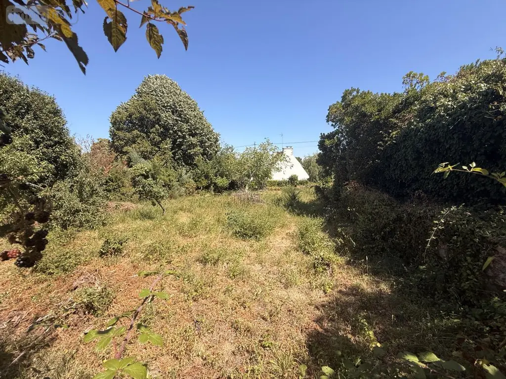 Terrain a batir a vendre Île-aux-Moines 56780 Morbihan 56 320000 euros 56089-137 006