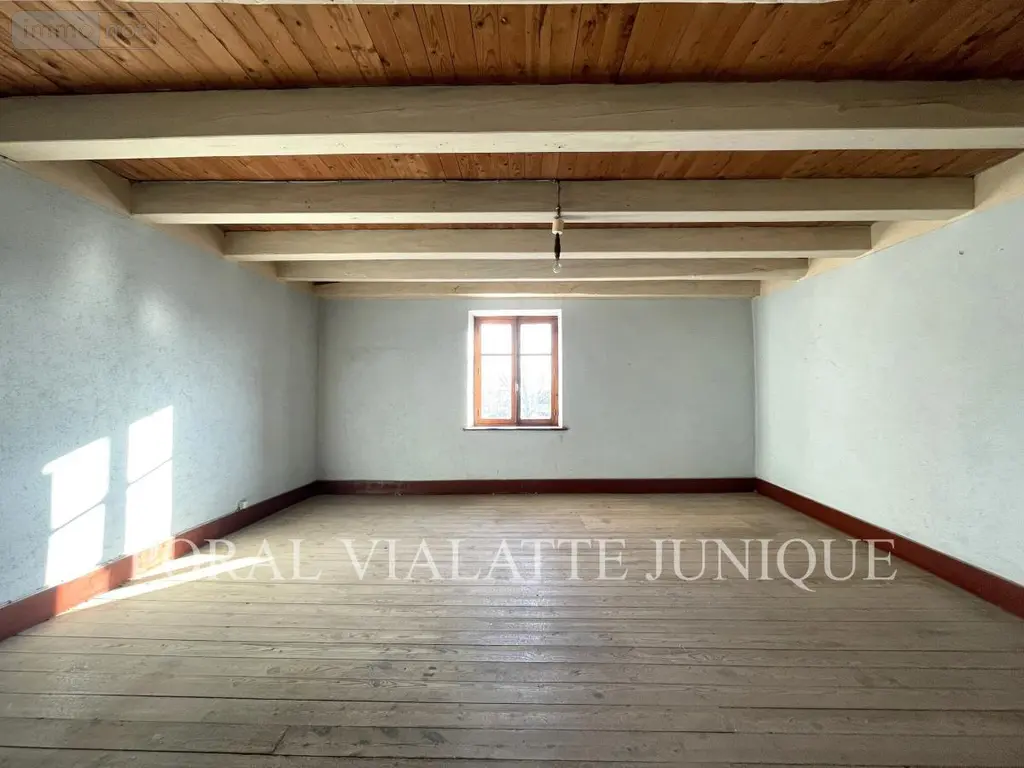 Maison a vendre Druillat 01160 Ain 01 140 m2 6 pièces 145000 euros 01031-1297 010