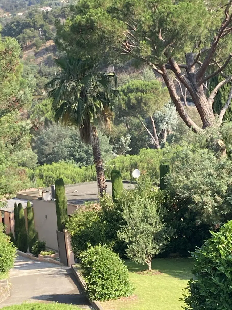 Maison a vendre Mandelieu-la-Napoule 06210 Alpes-Maritimes 06 174 m2 990000 euros 51022-2358 015
