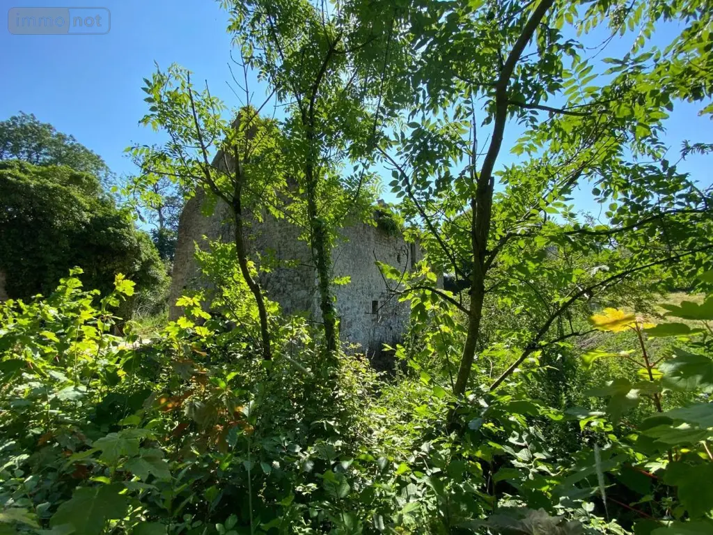 Maison a vendre Négreville 50260 Manche 50 101 m2 1 pièce 68750 euros 50088-373 005