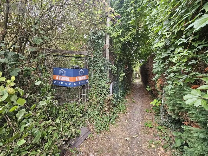 Maison a vendre Phalempin 59133 Nord 59 91 m2 61000 euros 59007-1945 002