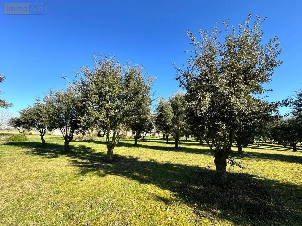 Maison a vendre Noyant-de-Touraine 37800 Indre-et-Loire 37 120 m2 7 pièces 501300 euros 37072-643 004