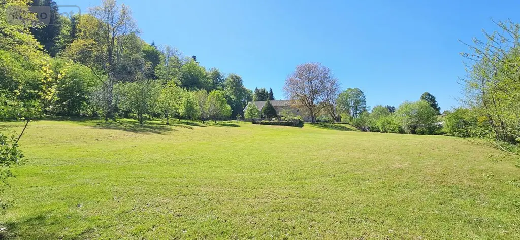 Maison a vendre Ménil-sur-Belvitte 88700 Vosges 88 300 m2 9 pièces 489000 euros 88061-851 012