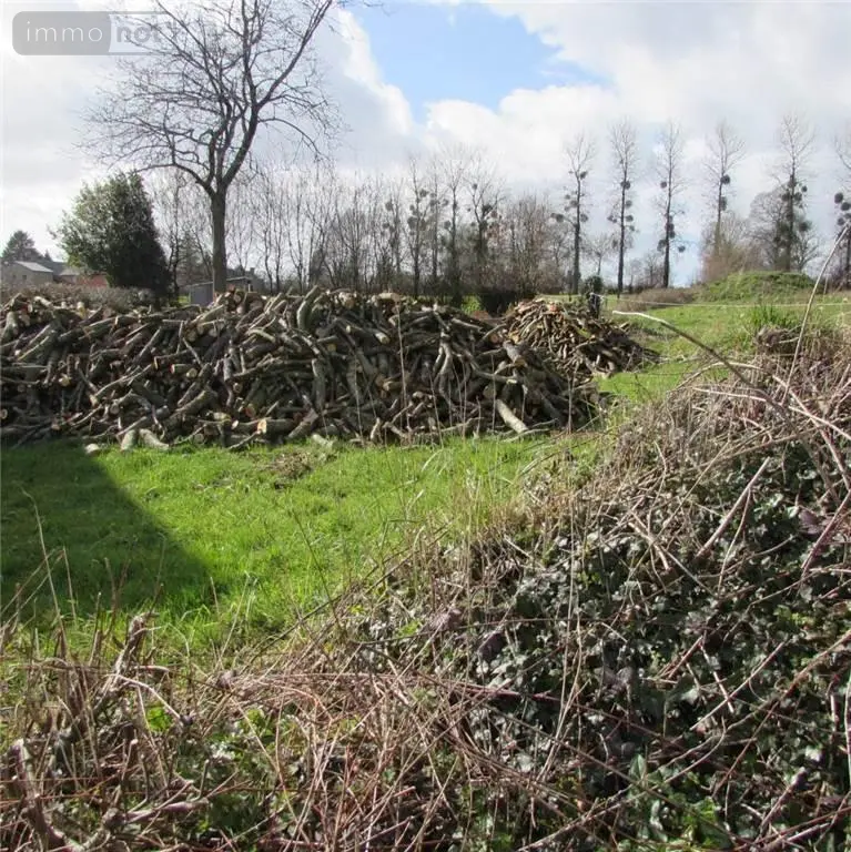 Terrains de loisirs bois etangs a vendre Chérencé-le-Héron 50800 Manche 50 6800 euros 50038-2565 002