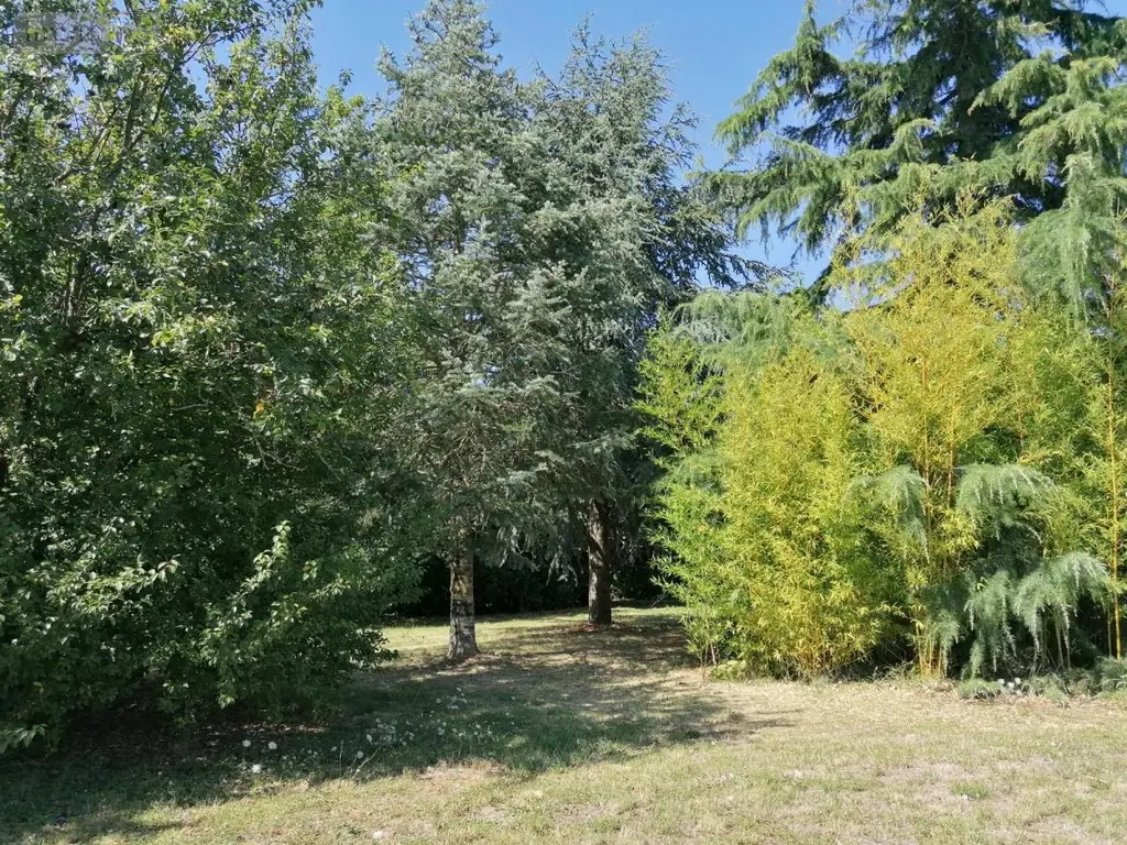 Maison a vendre Bournan 37240 Indre-et-Loire 37 78 m2 3 pièces 57750 euros 37082-243 009