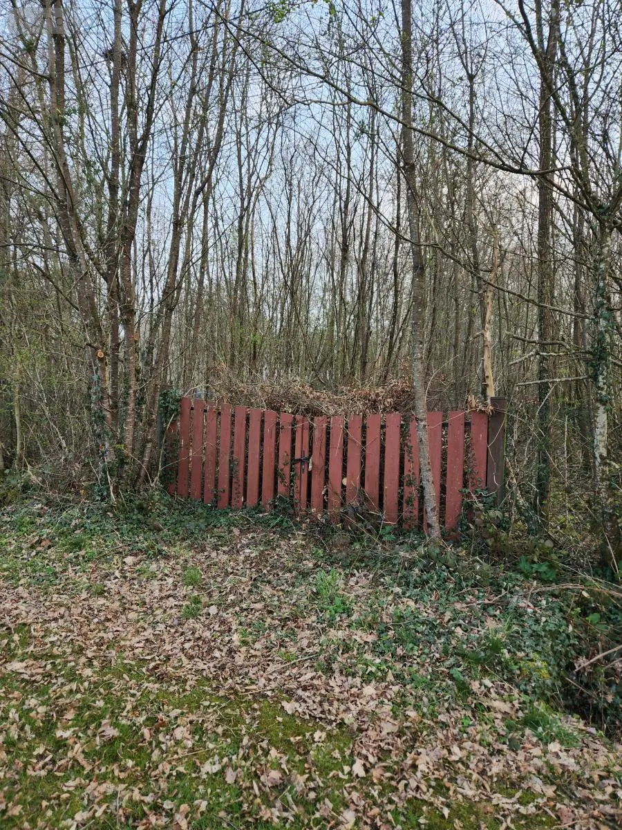 Terrain a batir a vendre La Selle-en-Hermoy 45210 Loiret 45 44000 euros 45049-98 004