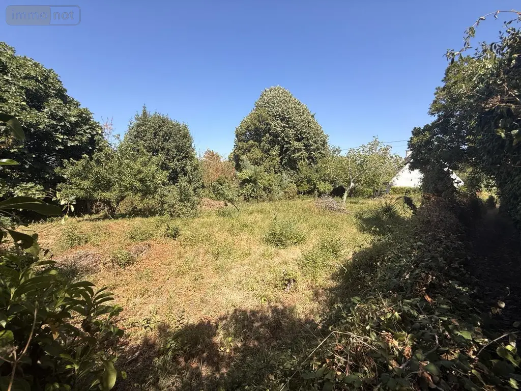 Terrain a batir a vendre Île-aux-Moines 56780 Morbihan 56 320000 euros 56089-137 005