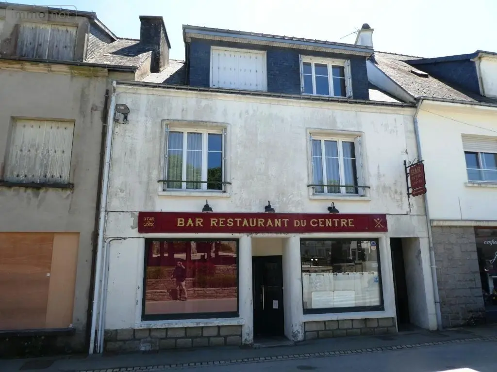 Immeuble de rapport a vendre Bubry 56310 Morbihan 56 400 m2 241600 euros 56075-2357 002