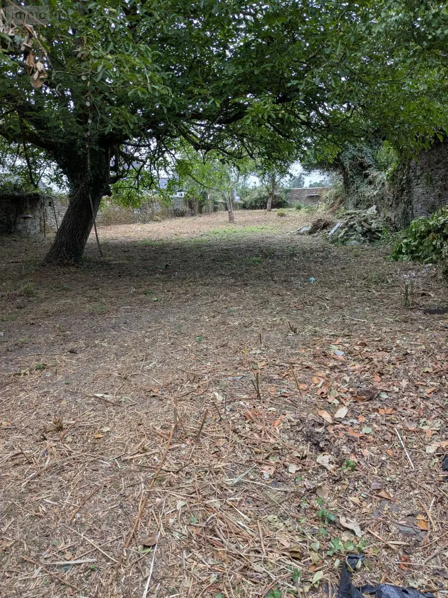 Immeuble de rapport a vendre Gourin 56110 Morbihan 56 189 m2 205300 euros 56071-2629 010