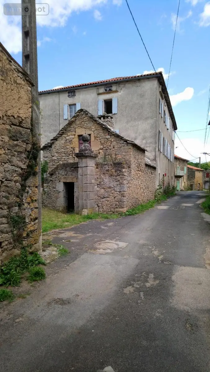 Maison a vendre Saint-Affrique 12400 Aveyron 12 900 m2 14 pièces 300000 euros 12051-10 004