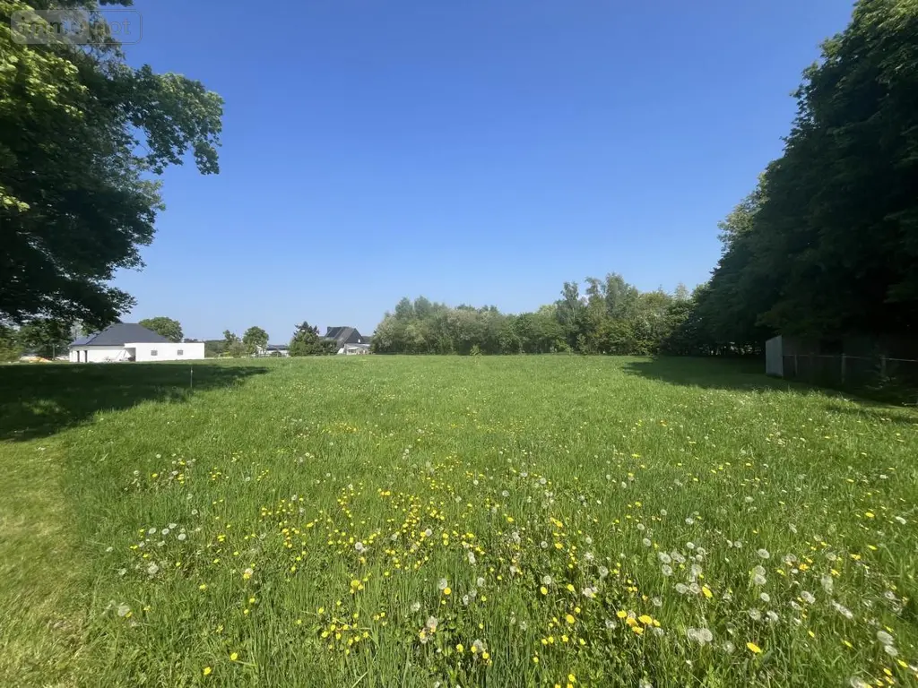Terrain a batir a vendre Taupont 56800 Morbihan 56 98860 euros 56044-1497 002