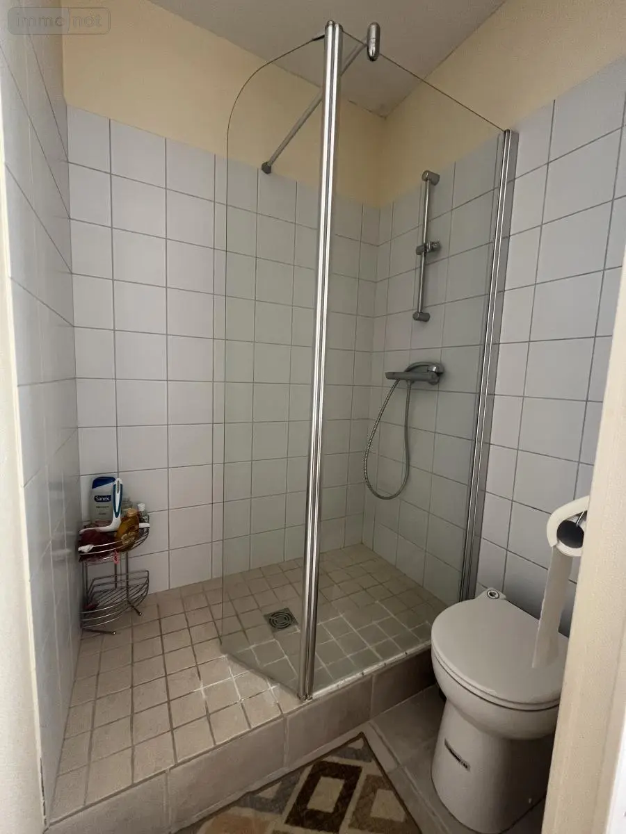 Maison a vendre L'Île-Bouchard 37220 Indre-et-Loire 37 186 m2 8 pièces 241500 euros 37060-2344 021