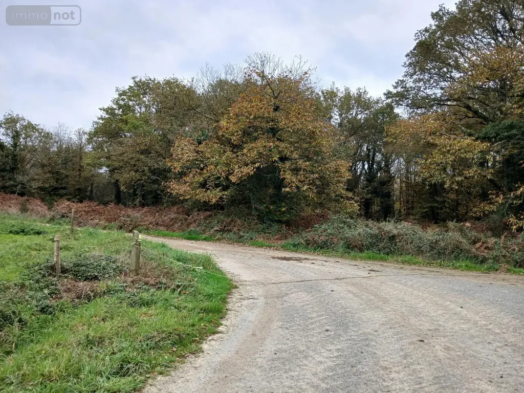 Terrains de loisirs bois etangs a vendre Allaire 56350 Morbihan 56 7500 euros 56084-354 007