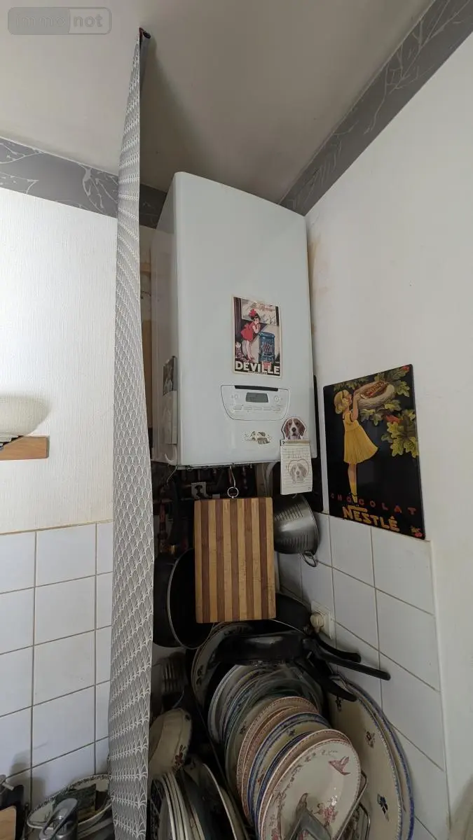 Immeuble de rapport a vendre Vichy 03200 Allier 03 588 m2 398240 euros 03019-167 038