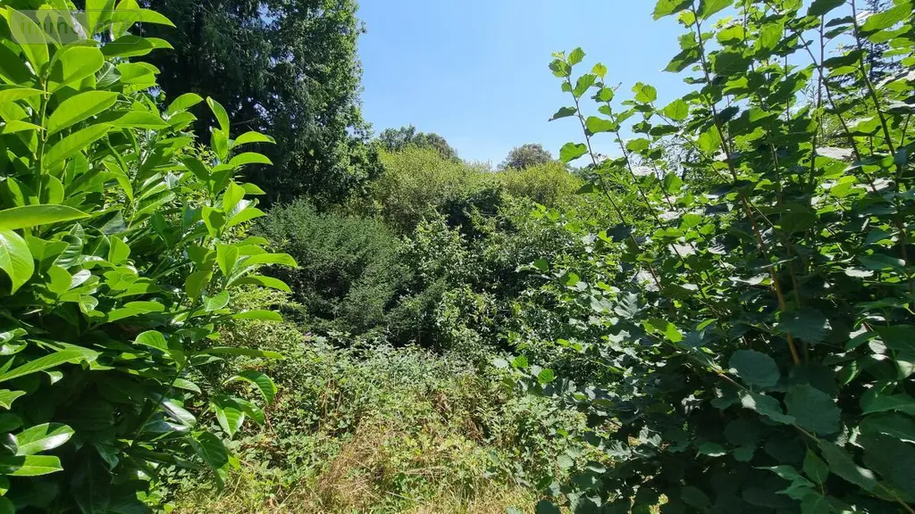 Maison a vendre Callac 22160 Côtes-d'Armor 22 80 m2 6 pièces 84000 euros 29066-3911 022