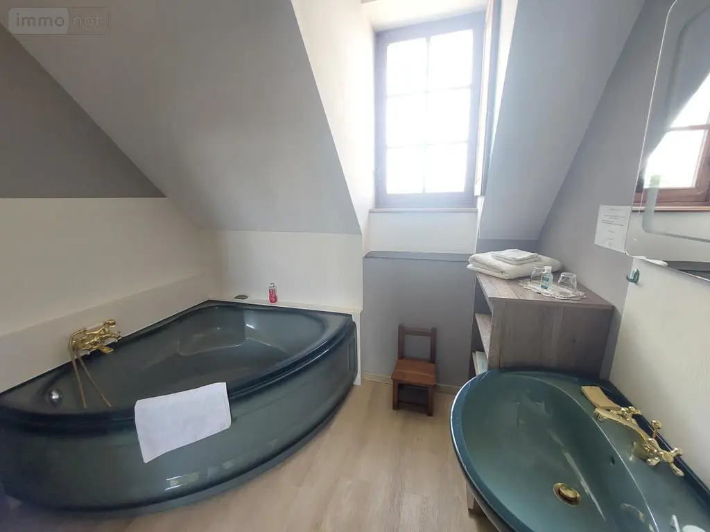 Maison a vendre Renazé 53800 Mayenne 53 231 m2 10 pièces 230500 euros 53032-1074 008
