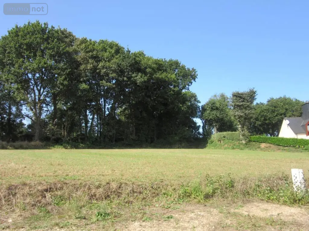 Terrain a batir a vendre Carhaix-Plouguer 29270 Finistère 29 33500 euros 29066-3725 008