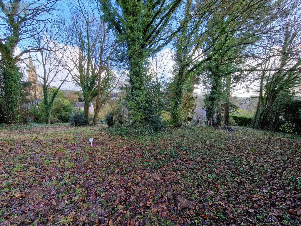 Terrain a batir a vendre Val d'Oust 56460 Morbihan 56 34100 euros 56050-690 002