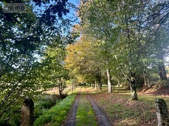 Maison a vendre Collorec 29530 Finistère 29 62 m2 2 pièces 211000 euros 29064-2886 002