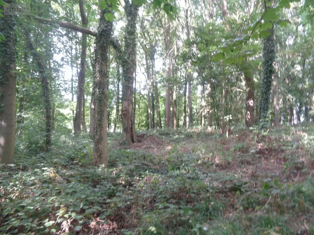 Maison a vendre Lapugnoy 62122 Pas-de-Calais 62 227 m2 8 pièces 728000 euros 62023-3978 027