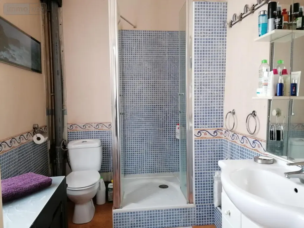 Maison a vendre Descartes 37160 Indre-et-Loire 37 196 m2 8 pièces 199920 euros 37082-244 007